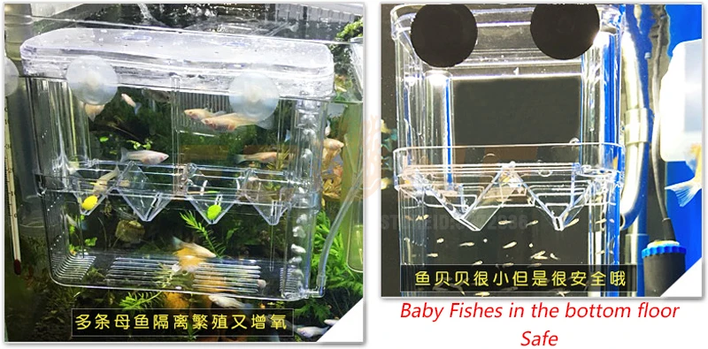Акриловый подвесной люк коробка для детских рыбок аквариума разведения рыб и