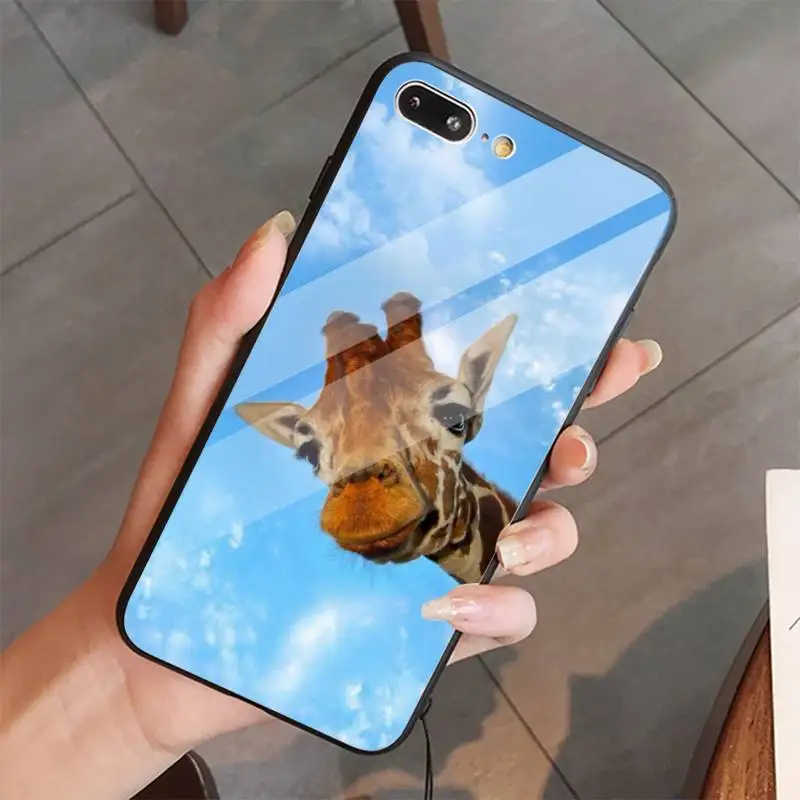 

Zebra Giraffe cute animal Phone Case Tempered glass For iphone 5C 6 6S 7 8 plus X XS XR 11 PRO MAX