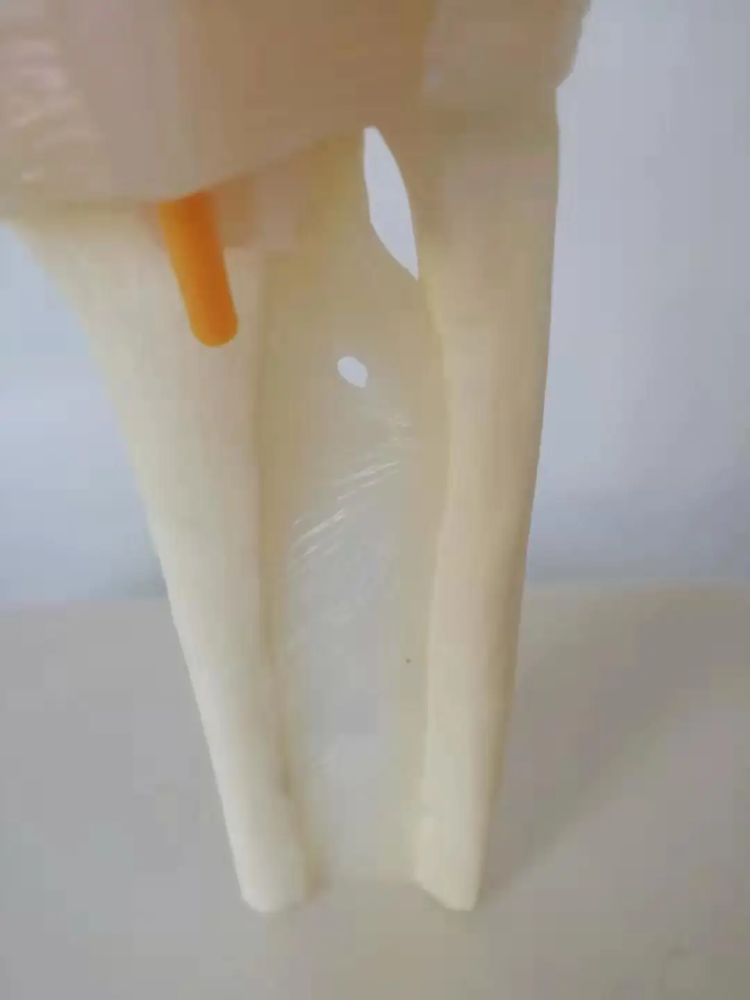 Модель ручного соединения с мышцами сухожилия кости нервы человеческий скелет