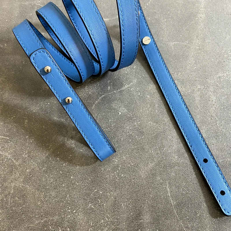 Custom Evelyn Bag Shoulder Strap Kelly Bag Shoulder Strap Swift Cowhide Togo Cowhide Bag With 1.3 cm Width