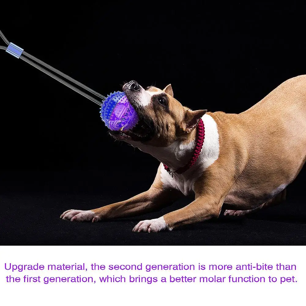 ПЭТ молярная игрушка для кусания пола двойная присоска собачий канат войны