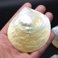 fashion natural shell charms mother of pearl sea shell no hole pendant for diy necklace accessories jewelry making supplies gift