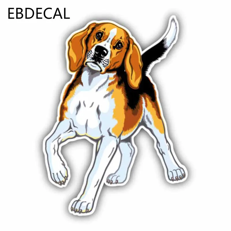 Ebdeckle футболка с принтом милый Бигль Порода собака креативный модный для