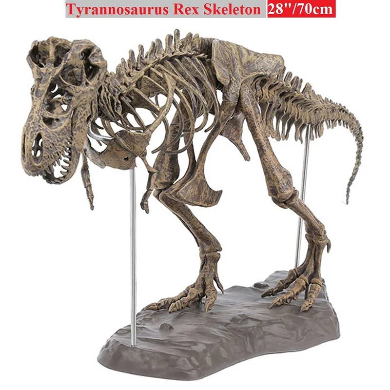 

Tyrannosaurus Rex Skeleton Dinosaur Animal Collector Decor Model Toy HK3