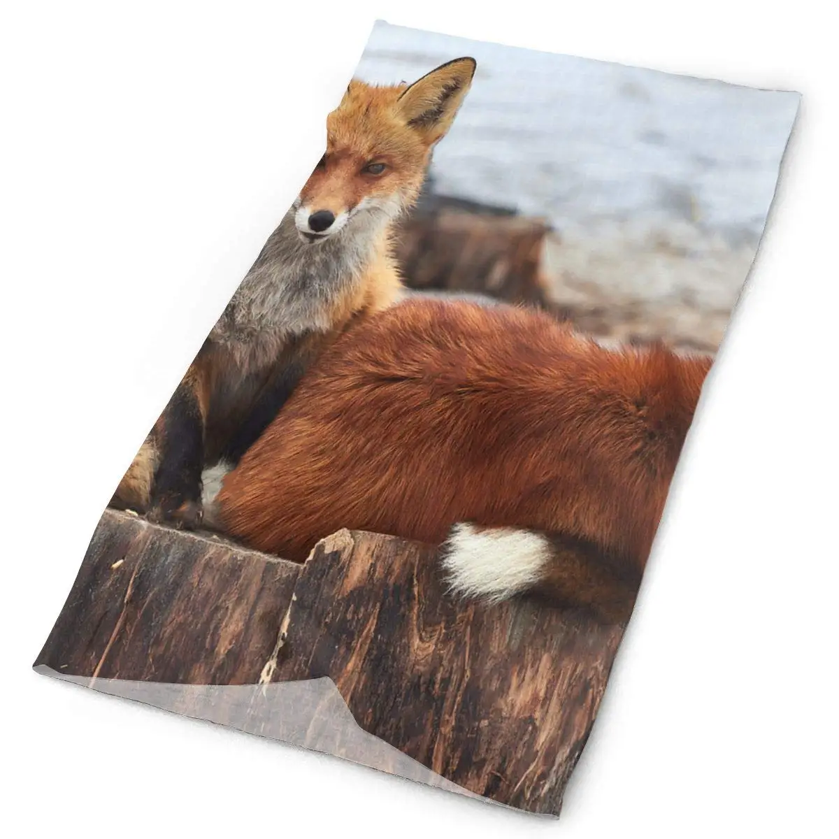 Повязка на голову с рисунком лисы сидя пень уличный шарф шелковый шейный чехол