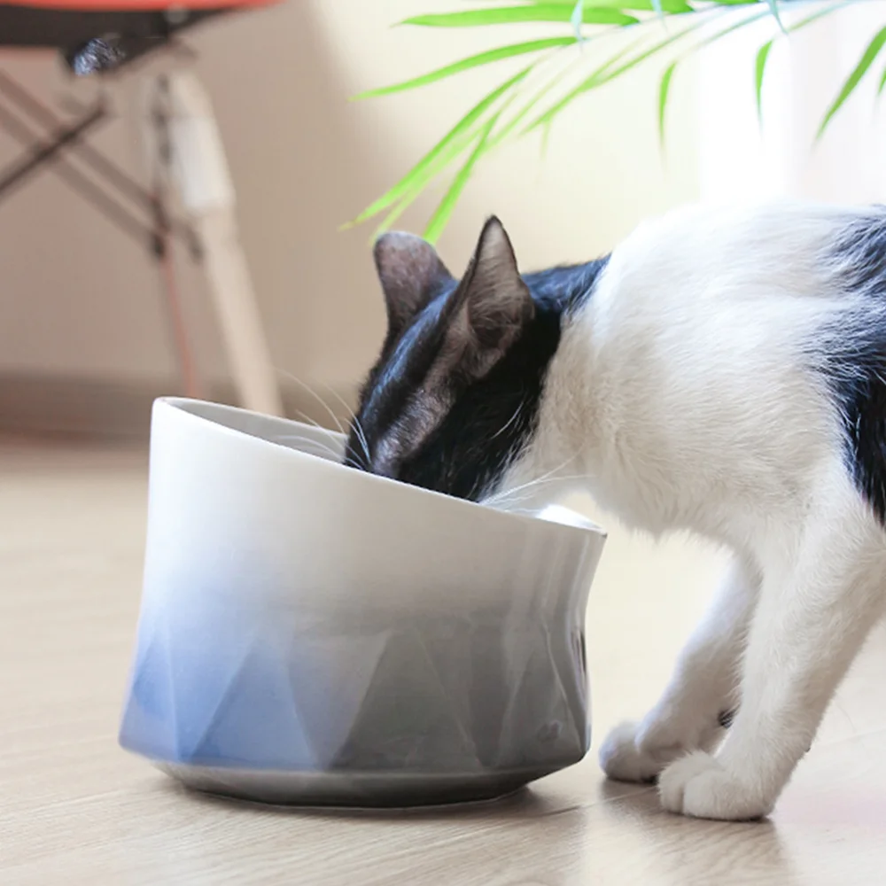 

Pet Bowl Ceramic Drinking Feeder Dog Dual-use High Rise Bowl Non-Slip Food Container for Home Shop Pet Supplies (Grey)