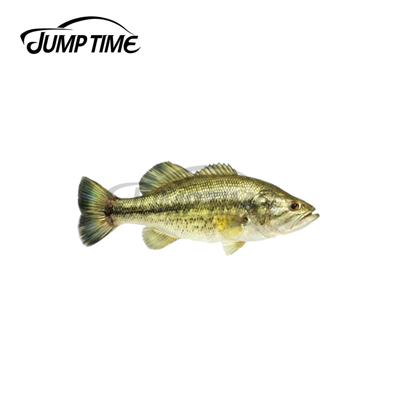 

JumpTime 13x3 см для большого рта, бас, фотография с рисунком, устойчивое к царапинам украшение, водонепроницаемое искусственное украшение «сдела...