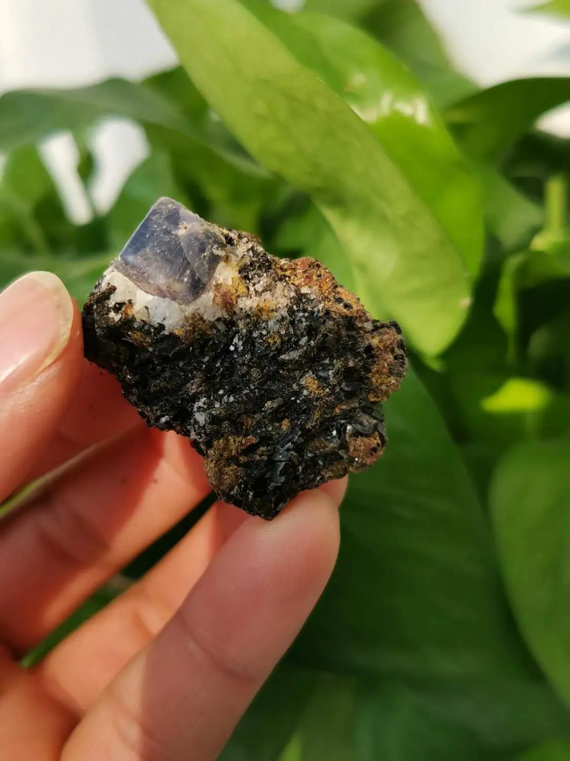 

1PCS Natural blue port jade, crystalline energy healing