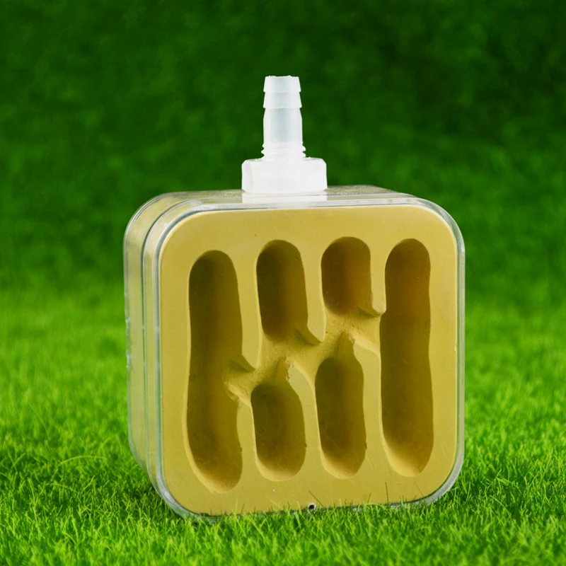 Штукатурка бетонный муравей ферма природное экологическое Муравьиное гнездо