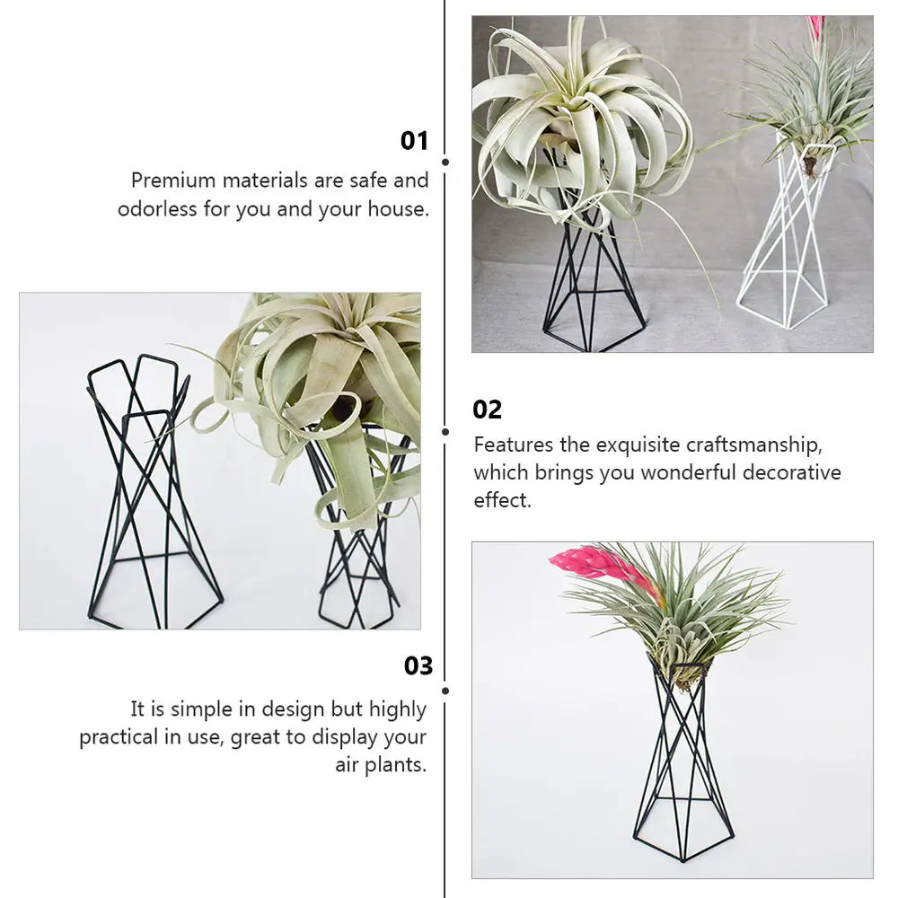 

2Pcs Air Plant Holder Home Iron Art Plant Stand Creative Plant Display Rack