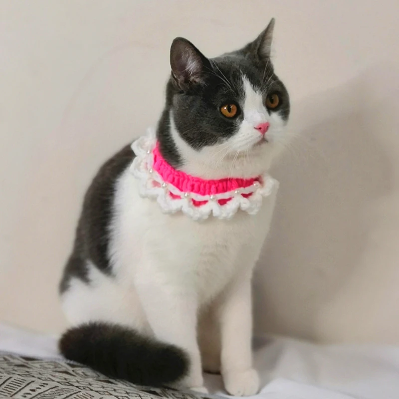 Платье с жемчужным бантиком щенок ожерелье Регулируемый ошейник для собаки кота
