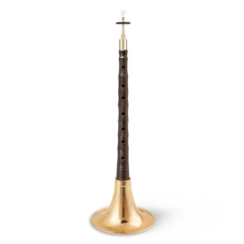 Электронный музыкальный инструмент полный комплект профессиональный для