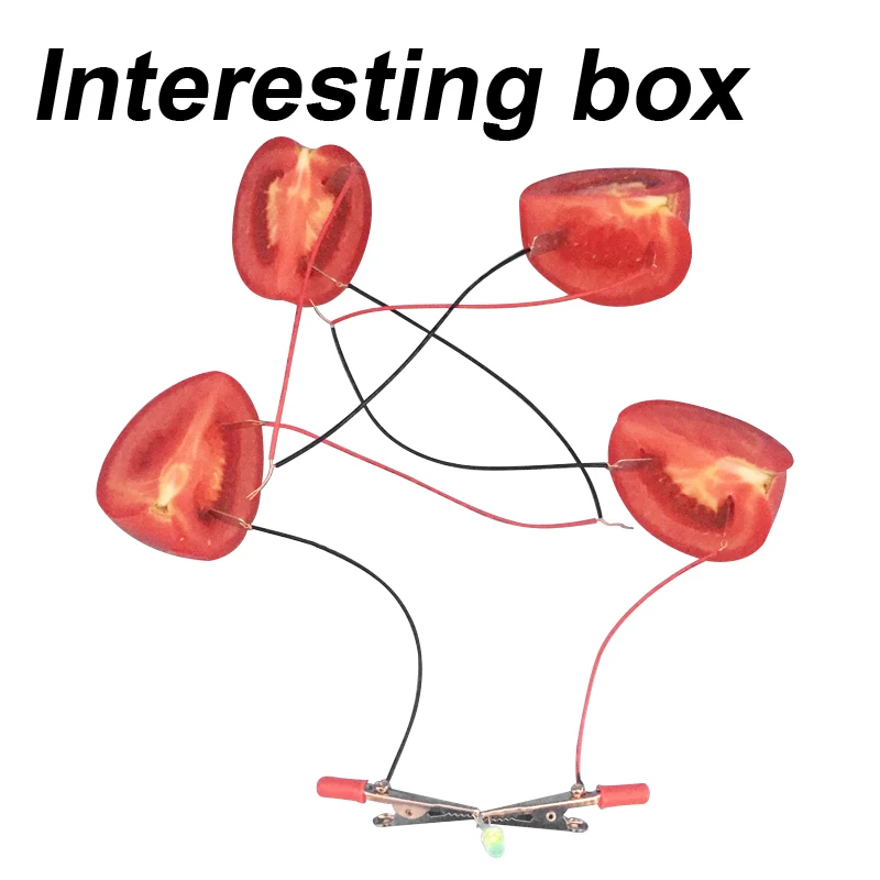 Фрукты батарея эксперимент материал посылка картофельные электроэнергии Наука