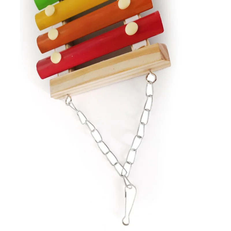 

New Hanging Chicken Sound Toys For Hens Chicken Veggies Skewer Fruit Holder Chicken Vegetable Hanging Feeder Dropshipping