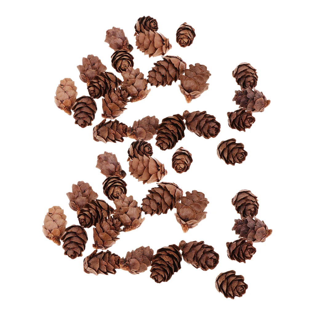 Фото 100x натуральный декоративный сосновый конус Pinecone для Рождественского украшения 100x натуральный декоративный сосновый конус Pinecone для Рождественского украшения