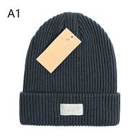 new fashion brand designer knitted beanie men women warm thick outdoor luxury party cartoon cute hat unisex casual trendy caps