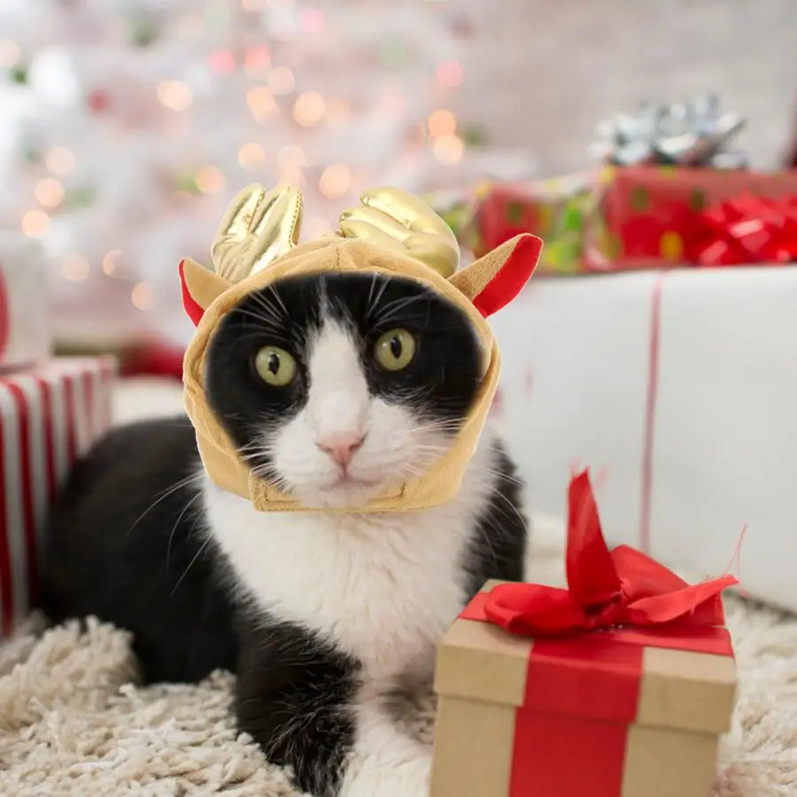 Полиэстеровая Милая дышащая зернистая кофейная мультяшная шляпа с лосем кошка