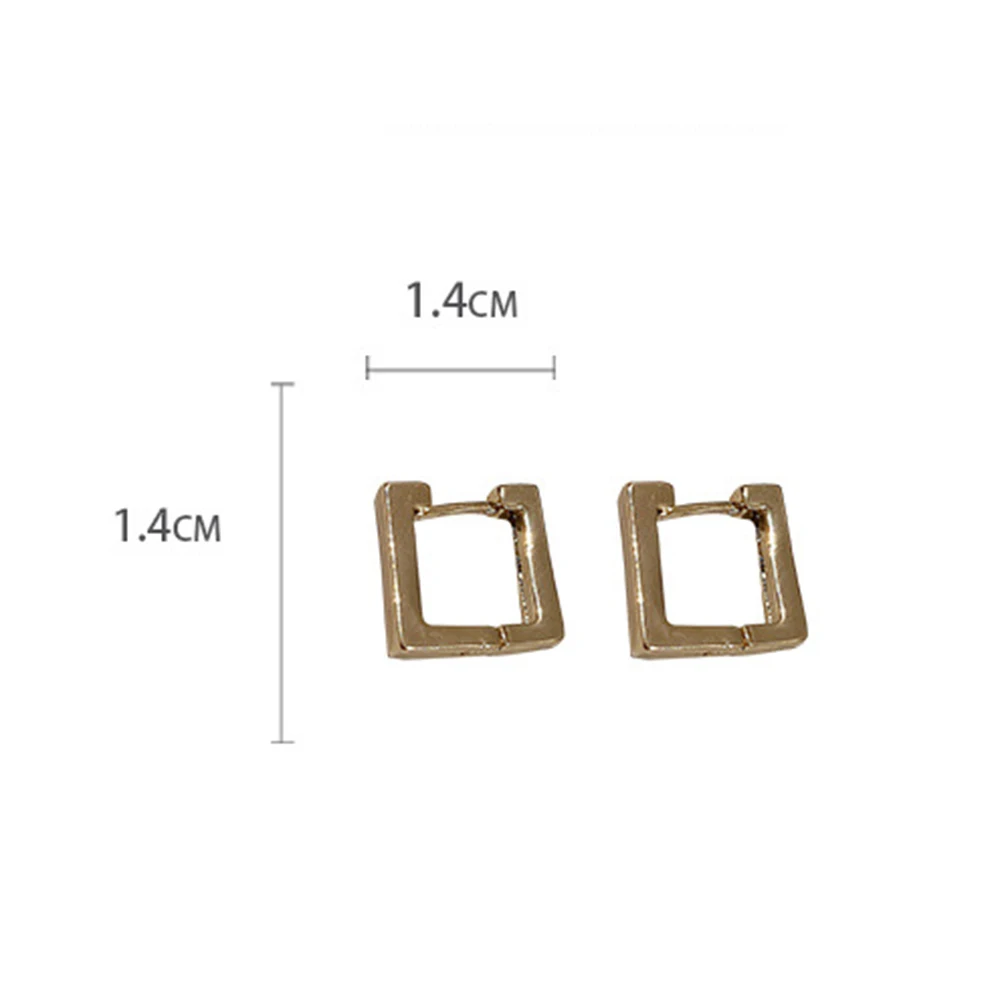 

Fashion Metal Geometric Hoop Earrings For Woman New Korean Statement Earrings Fashion Jewelry