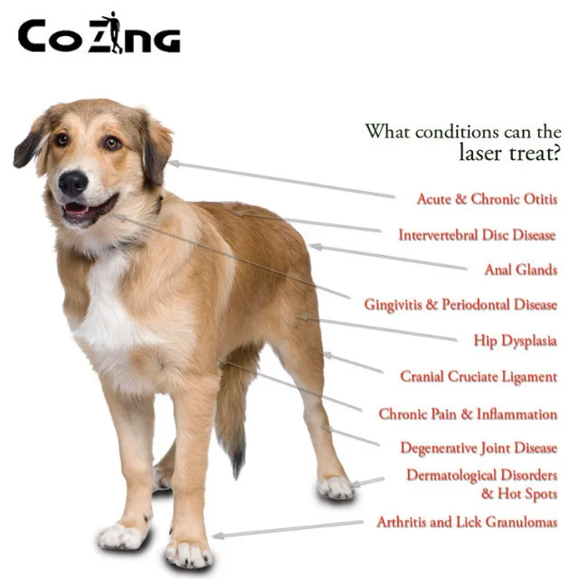Низкая Лазерная терапия 650 нм и 808 инфракрасная лазерная CE сертифицированное