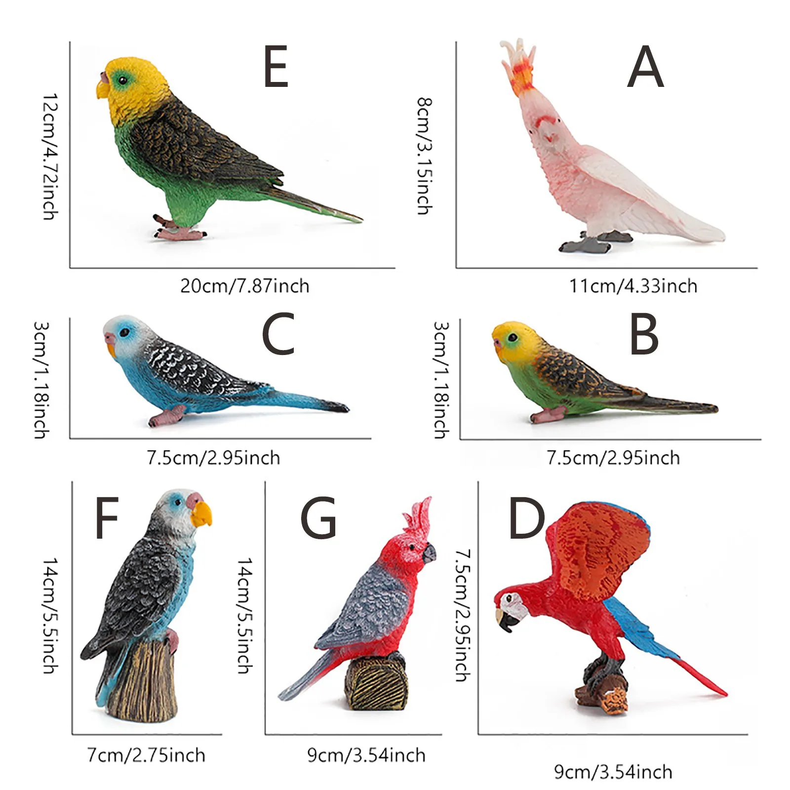 

Birds Birds Solid Static Parrot Model Toys Children's Fun Decoration Gift Seven Kinds Of Parrots Garage Kits Animal Dolls