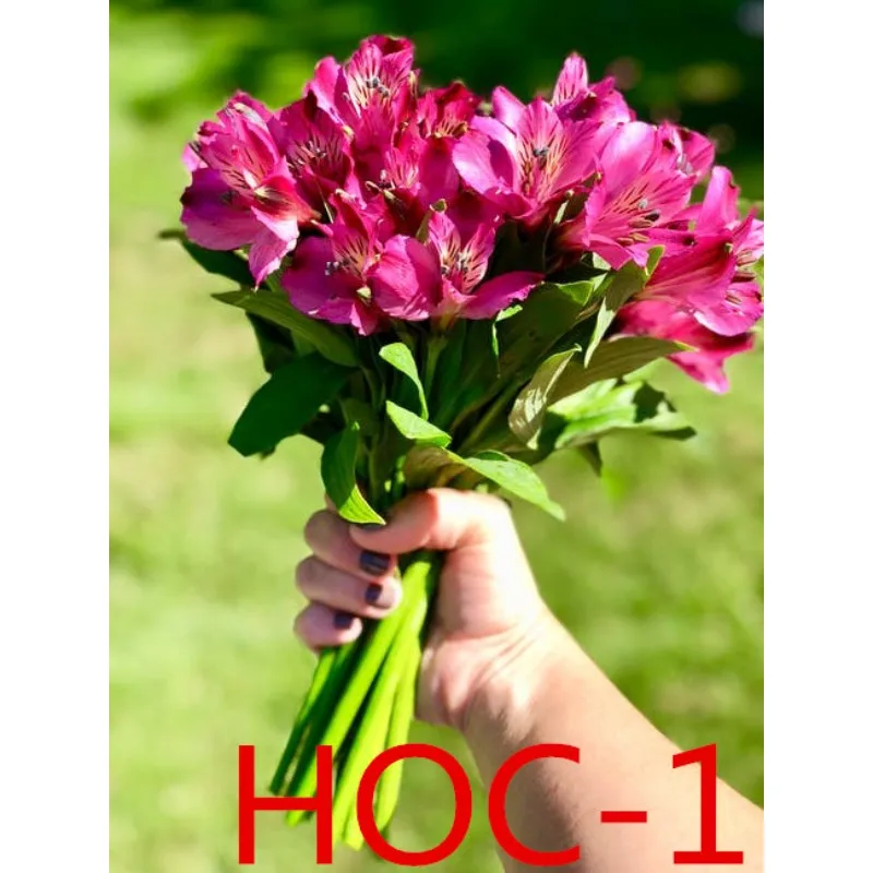

Weddings and important occasions / Wedding accessories / Bridal bouquets HOC