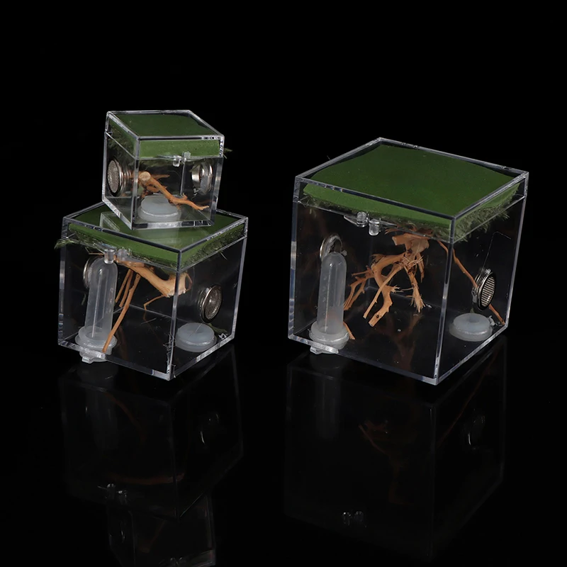 1set Small Spider Ant Farm Insect Breathable Terrarium Transparent Reptile Breeding Box Acrylic  Assembled Eco Box images - 6