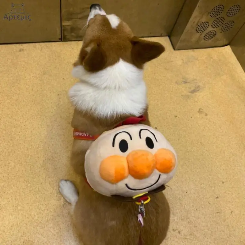 Собачки из рюкзаков для маленьких собак милый хлеб драка Тедди корги выходные