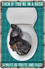 Таблички с собаками для домашнего декора, Такса, собака в туалете, всегда будьте вежливыми и смытыми плакатами, искусственная комната, металлический знак