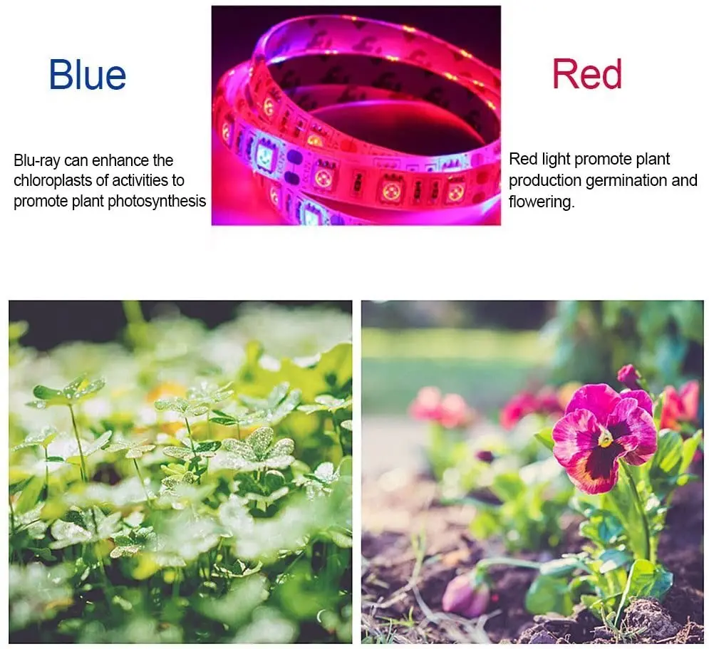 

LED Grow Light Strip Full Spectrum USB Grow Light 1m 2m 3m 2835 SMD 5V Phyto Tape for Seed Plants Flowers Hydroponic Greenhouse