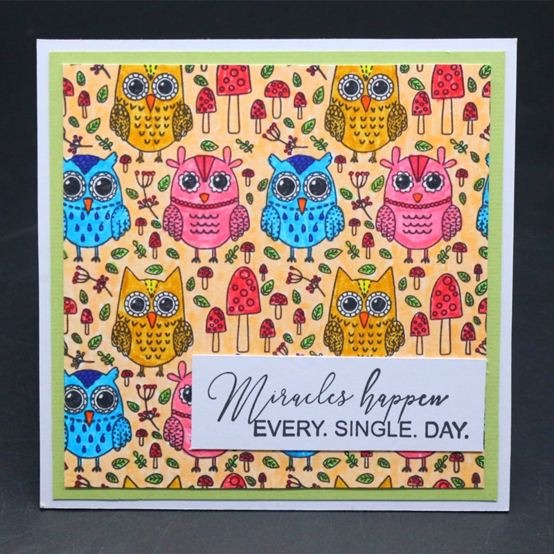 Силиконовые прозрачные штампы YINISE для скрапбукинга обложки совы бумажный альбом