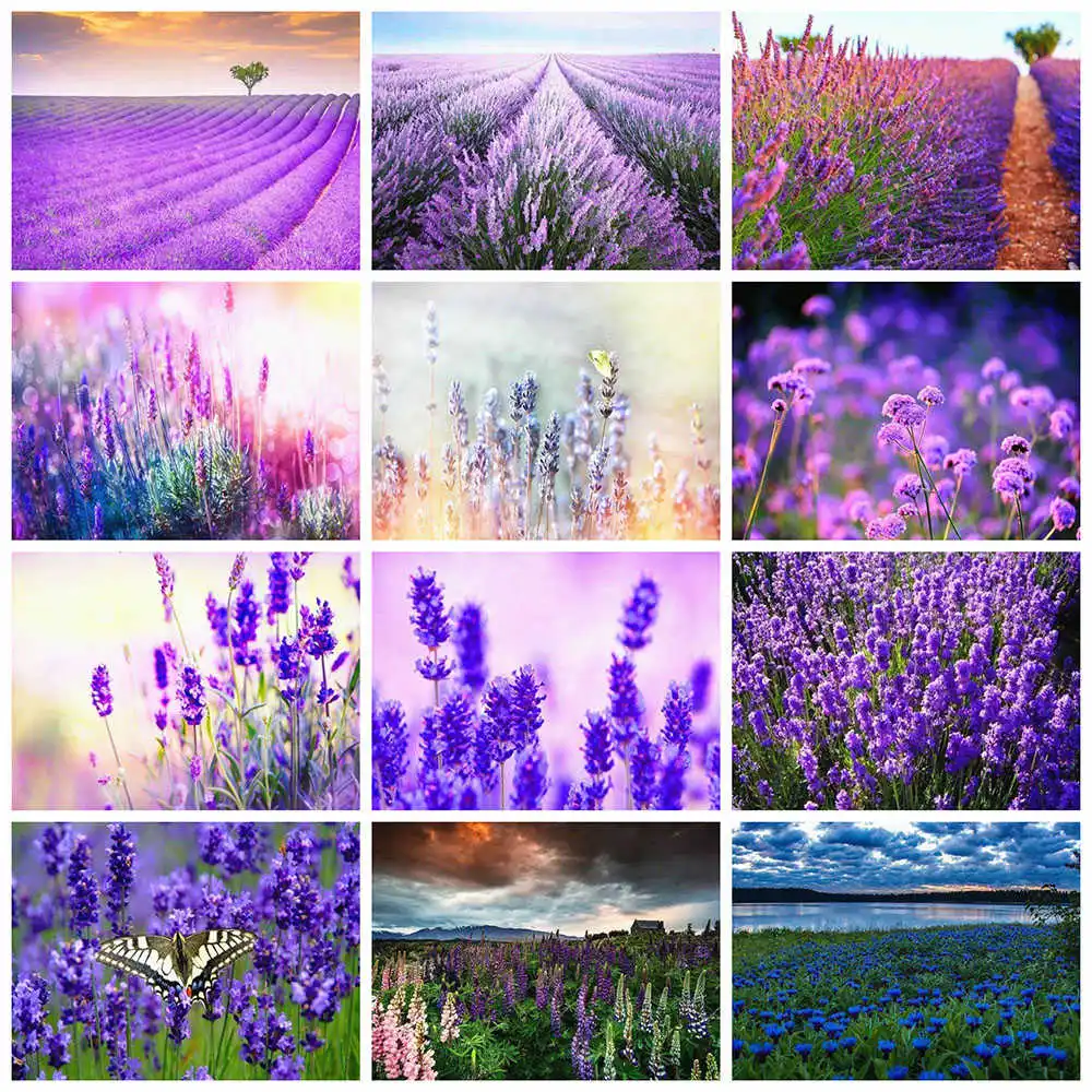 AZQSD алмазная вышивка полная выкладка лаванда Алмазная мозаика цветок алмазные