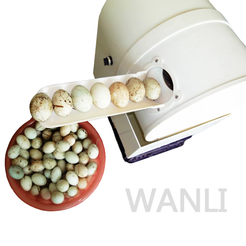 

Hot selling high quality automatic cheap poultry farm equipment 2400 / h chicken duck goose egg cleaner