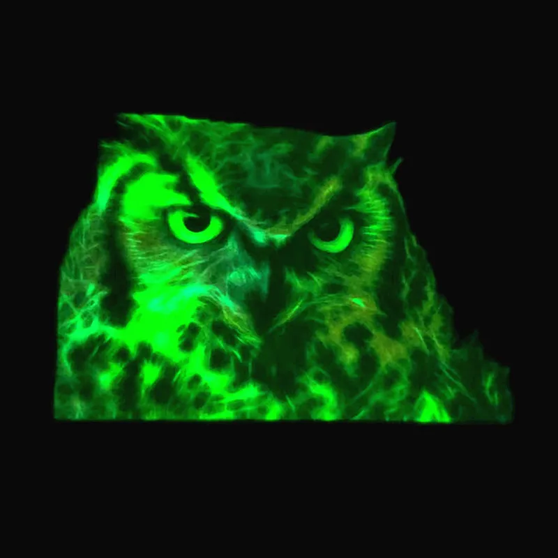 

Animal Patch Colour Printing Owl bird Luminous Heat transfer Clothes Stickers VOGUE DIY Noctilucent Iron on Patches for clothing