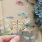 38 шт., ПВХ-наклейки в виде летающей стрекозы