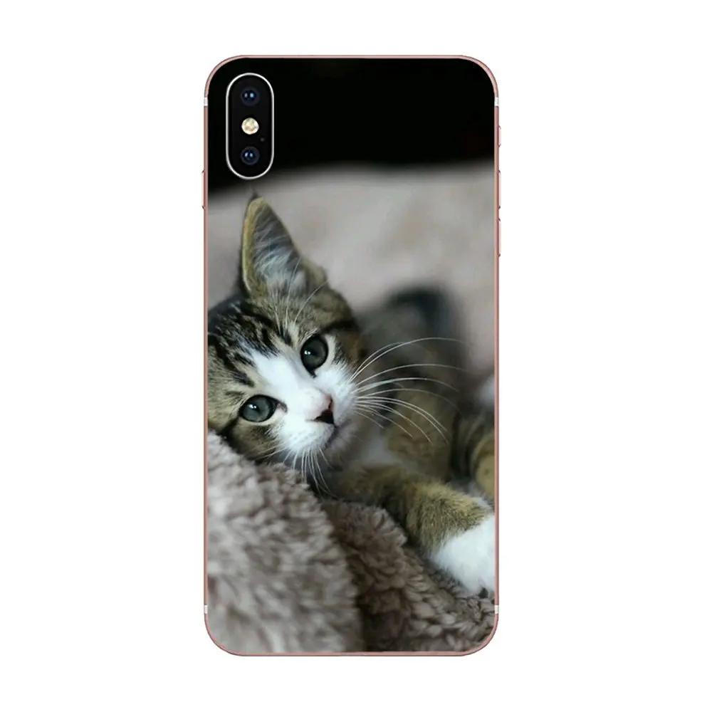 Soft TPU Fashion For iPhone SE2020 11 Plus Pro X XS Max XR 8 7 6S SE 4S 5 5C 5S Print Cute Melancholy Kitten | Мобильные телефоны и