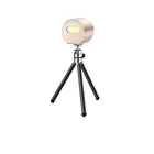 Лазерный гравер, принтер 1,6 Вт, легкий портативный лазерный гравировальный станок, мини-принтер, Etcher, настольный деревообрабатывающий станок