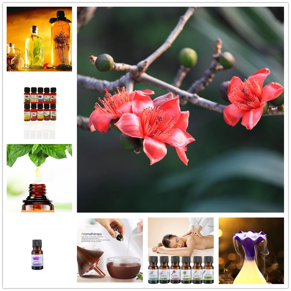 100% натуральное эфирное масло василька экстракт против морщин удаление акне