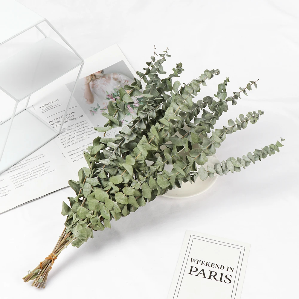 Букет натуральных сушеных эвкалиптов букет из свежих цветов натуральные зеленые