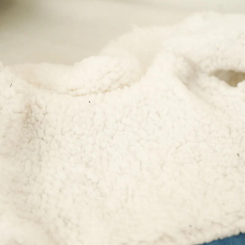 С милыми буквами питомец маленькая собачка кошка джинсы джинсовый пиджак зимний