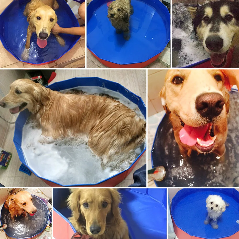 

Foldable Dog Swimming Pool Shower Dog Pool Garden Swimming Pool House Bed Summer Bathing Tub Collapsible Bathtub for Dog Cat Pet