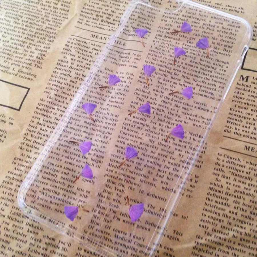 100 шт. прессованные сушеные фиолетовые лепестки цветка миосотиса силватика