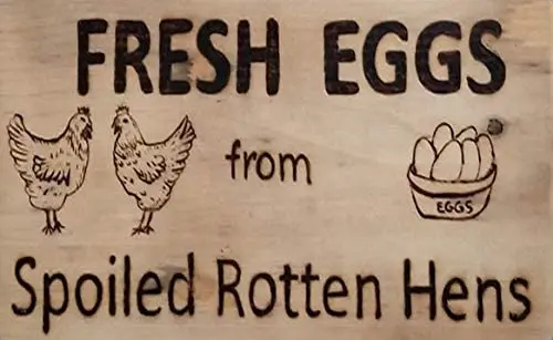 

Vintage Metal Sign Fresh Eggs from Spoiled Rotten Hens Chicken Signs Fun Sign