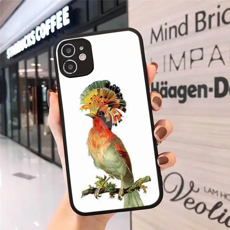 

Flower Bird Parrot Phone Case Matte Transparent for iPhone 7 8 11 12 s mini pro X XS XR MAX Plus cover funda