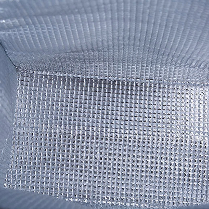 2021 модный Ланч-бокс портативный изолированный холщовый Термосумка для еды