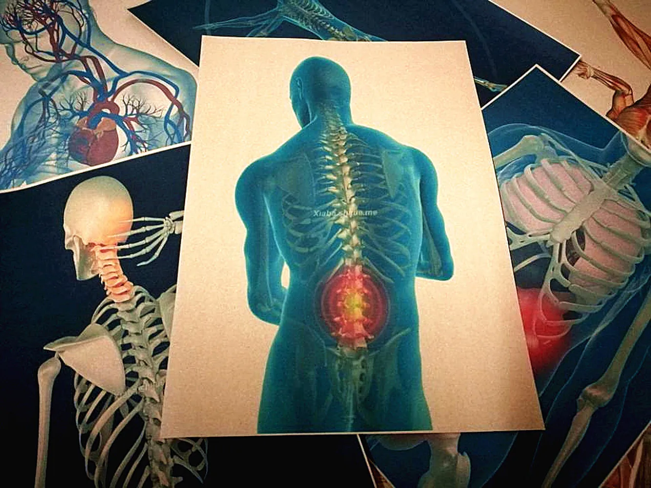 Ретро 3D рентгеновское сканирование человека анатомия плакаты скелетного