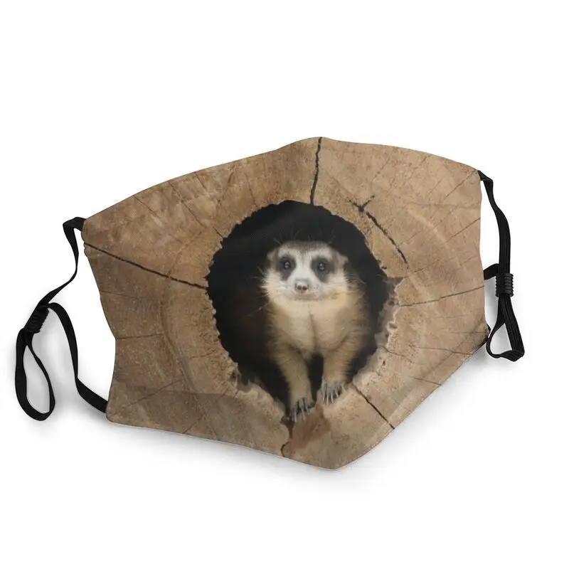 

Washable In My Room Funny Meerkat Face Mask Animal Anti Haze Protection Mask Respirator Mouth Muffle