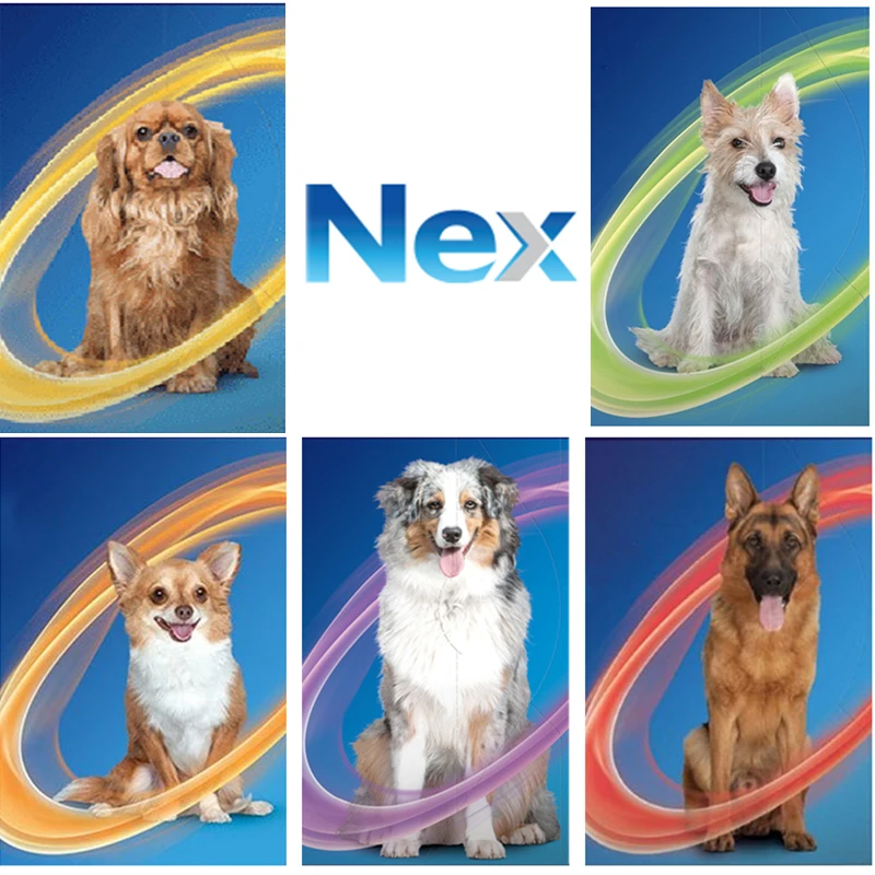 

N e x spectra Gard chewable for dogs oral flea