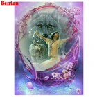 5d diy Алмазная картина индийские женщины леди и волк Алмазная вышивка круглый укроп, полный квадратный мозаичный значок страз