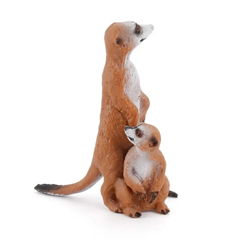 

Animal Models Cute Exquisite PVC Meerkat Animal Models for Home