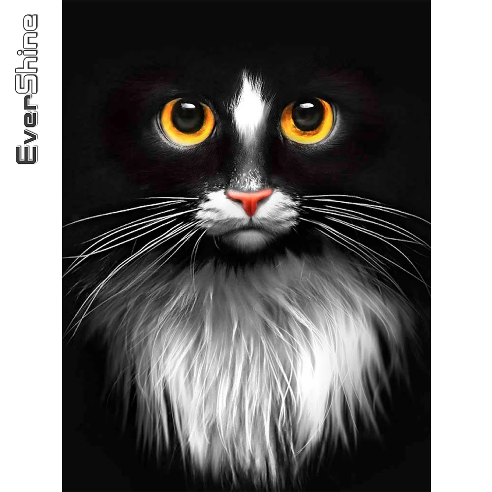

Evershine DIY Diamond Embroidery Black Cat Diamond Painting Animal Mosaic Cross Stitch Rhinestone Picture Art Home Decor